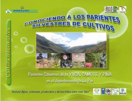 Ir a la publicacion del sitio