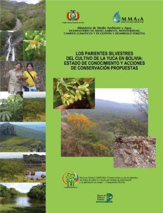 Ir a la publicacion del sitio